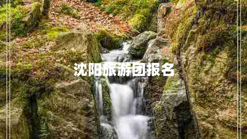 沈陽旅游團(tuán)報名