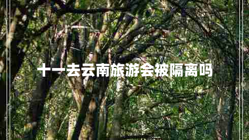 十一去云南旅游會(huì )被隔離嗎
