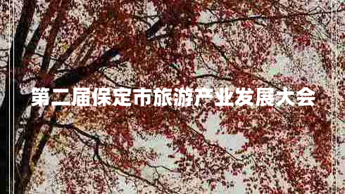 第二屆保定市旅游產(chǎn)業(yè)發(fā)展大會(huì )