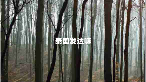 泰國發(fā)達嘛