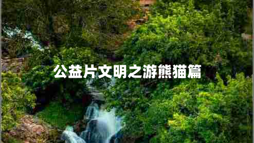 公益片文明之游熊貓篇