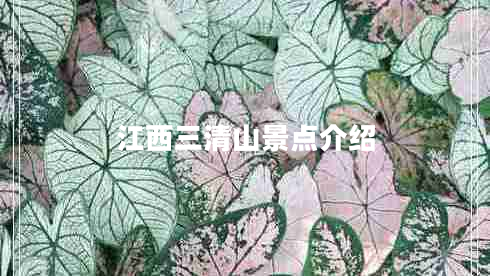 江西三清山景點(diǎn)介紹