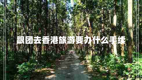 跟團(tuán)去香港旅游要辦什么手續(xù)