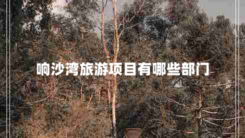 響沙灣旅游項目有哪些部門