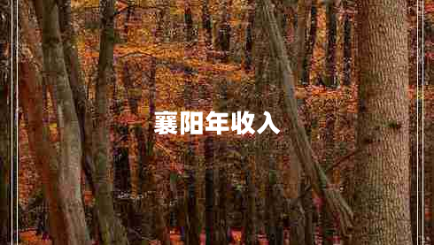 襄陽(yáng)年收入