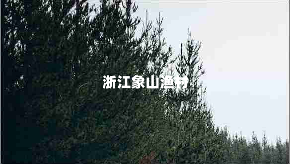 浙江象山漁村