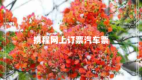 攜程網(wǎng)上訂票汽車(chē)票