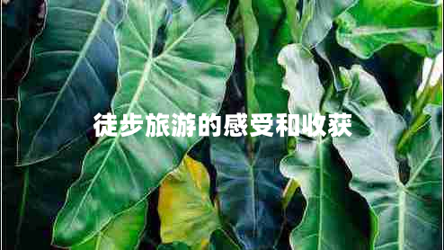 徒步旅游的感受和收獲