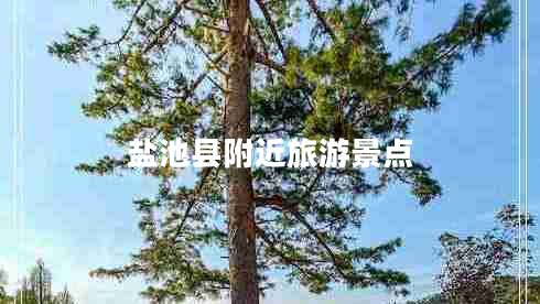 鹽池縣附近旅游景點(diǎn)