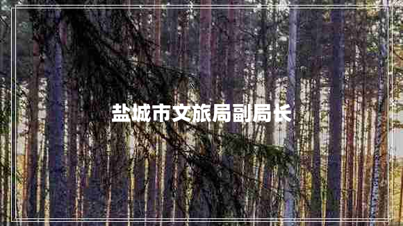 鹽城市文旅局副局長