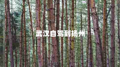 武漢自駕到揚(yáng)州