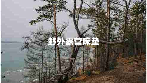 野外露營床墊