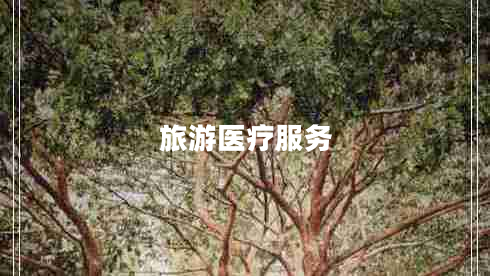 旅游醫(yī)療服務