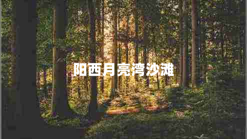 陽西月亮灣沙灘
