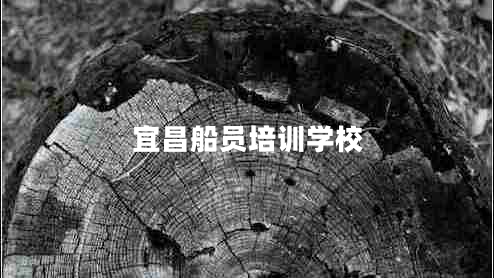 宜昌船員培訓(xùn)學(xué)校