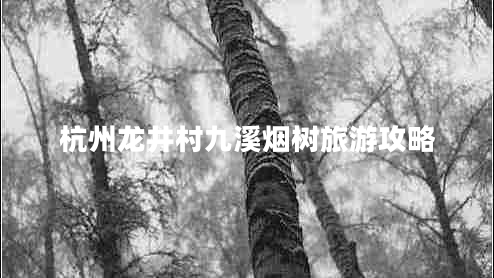 杭州龍井村九溪煙樹旅游攻略