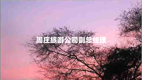 周莊旅游公司副總經(jīng)理