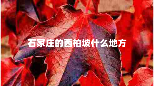 石家莊的西柏坡什么地方