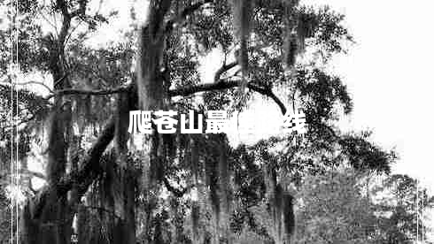 爬蒼山最佳路線(xiàn)