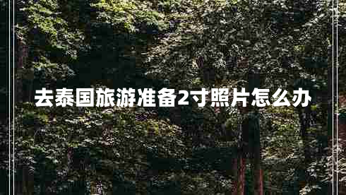 去泰國旅游準(zhǔn)備2寸照片怎么辦
