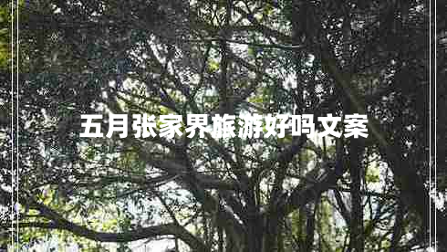 五月張家界旅游好嗎文案