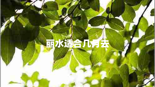 麗水適合幾月去
