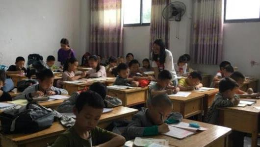 農村一個人單干暴利項目 農村一個人單干暴利項目