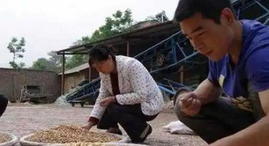 農村一個人單干暴利項目 農村一個人單干暴利項目