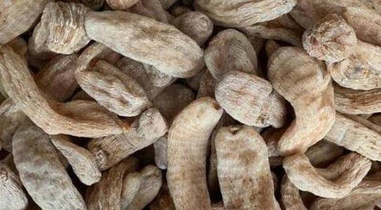 農業(yè)種植什么項目前景好掙錢(qián)多