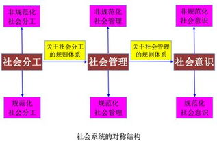 不屬于社會(huì )系統研究方法有哪些
