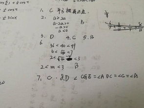 閱讀題中說(shuō)明方法有哪些