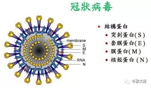 以下哪些方法可以有效消滅新型冠狀病毒