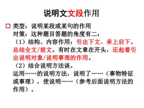 說(shuō)明文都用了哪些說(shuō)明方法有哪些特點(diǎn)是什么
