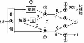 減少或防止苷水解的實(shí)驗方法有哪些