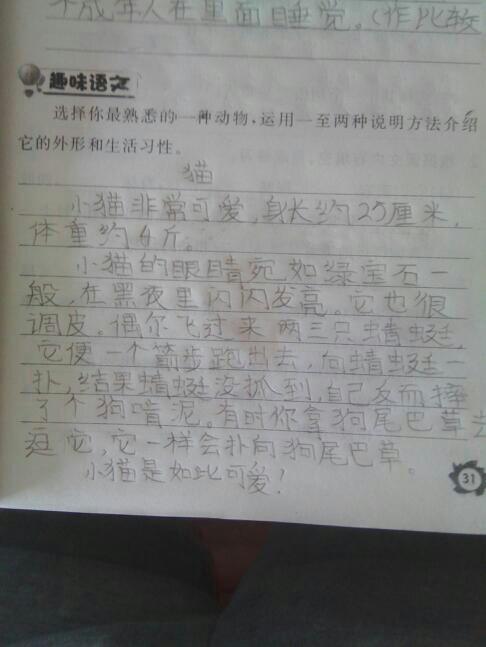 關(guān)于動(dòng)物的作文方法有哪些