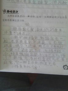 貓的作文說(shuō)明方法有哪些
