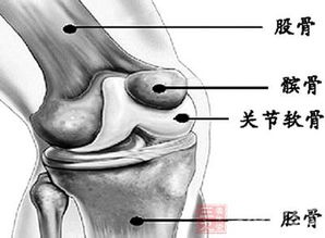 退行性骨關(guān)節炎的治療方法有哪些