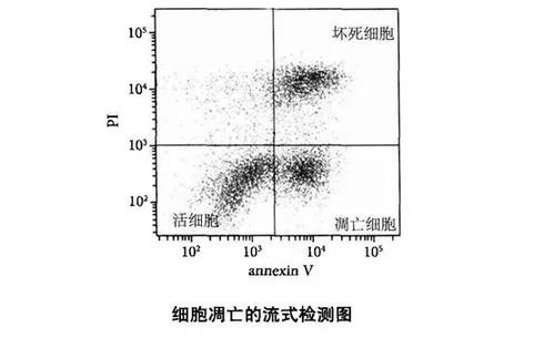 常用角度和維度的檢測方法有哪些