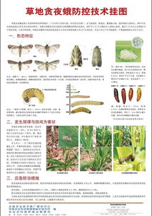 哪些方法可以用來(lái)預測