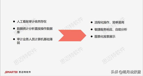 大數據審計中運用的方法有哪些