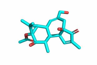 用opencv對醫學(xué)圖像分割有哪些方法