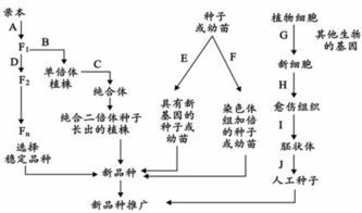 方式方法途徑有哪些