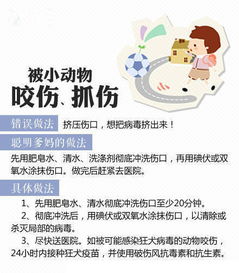 請簡(jiǎn)述挫傷的原因與癥狀及處置方法有哪些