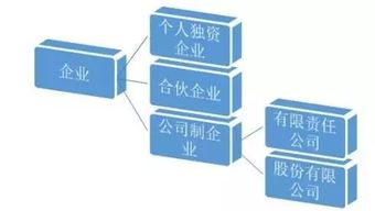 企業(yè)有哪些分類(lèi)方法