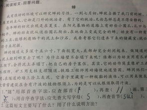 高老頭這篇文章運用了哪些描寫(xiě)方法