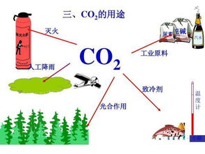除去co2中的co的方法有哪些