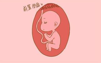 有哪些方法可以導致胎停