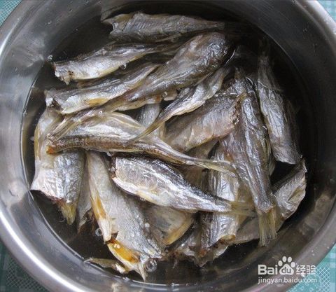 河里搞魚(yú)有哪些方法