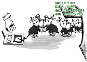 滅鼠的方法主要有哪些