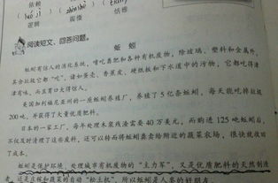 虎鯨這篇短文運用了哪些說(shuō)明方法